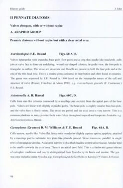 A Beginner's Guide To Diatoms 8 A Beginner's Guide To Diatoms -Rode Sales Store 227197 3