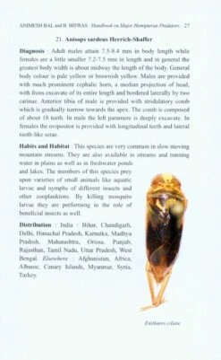 Handbook On Major Hemipteran Predators Of India -Rode Sales Store 227266 2