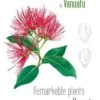 Remarkable Plants Of Vanuatu / Plantes Remarquables Du Vanuatu