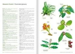 Remarkable Plants Of Vanuatu / Plantes Remarquables Du Vanuatu -Rode Sales Store 227422 5