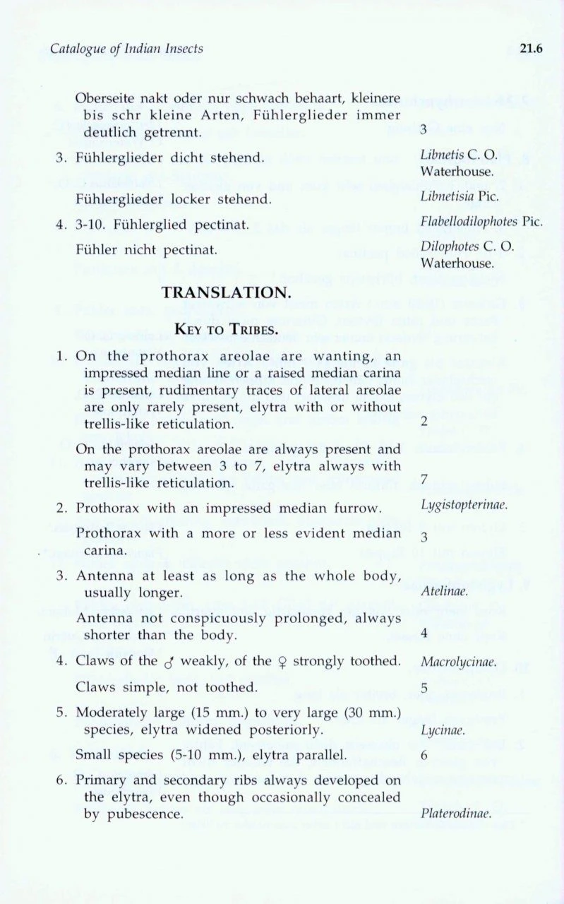 Catalogue Of Indian Insects (5-Volume Set) 5 Catalogue Of Indian Insects (5-Volume Set) - Image 5