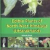 Edible Plants Of North West Himalaya (Uttarakhand)