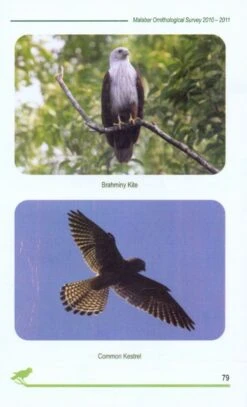 Malabar Ornithological Survey, 2010-2011 -Rode Sales Store 228793 2