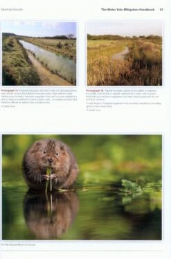 The Water Vole Mitigation Handbook -Rode Sales Store 228840 2
