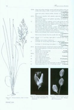 Identification Guide To Southern African Grasses -Rode Sales Store 229042 3