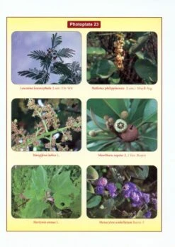 Ethno Medicinal Plants Of Raigad District, Maharashtra -Rode Sales Store 229314 2