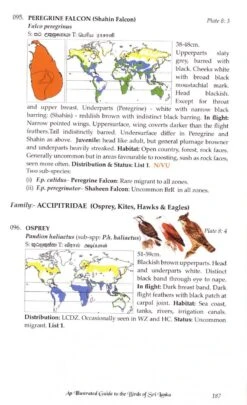 An Illustrated Guide To The Birds Of Sri Lanka -Rode Sales Store 229457 4