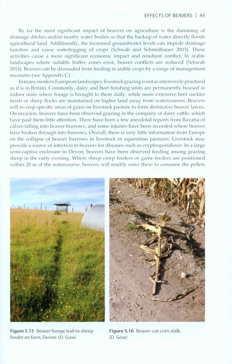 The Eurasian Beaver Handbook 2 The Eurasian Beaver Handbook - Image 2