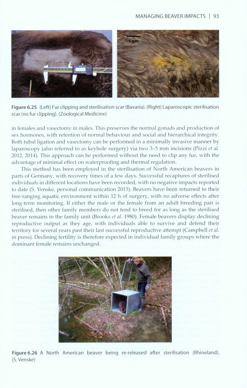 The Eurasian Beaver Handbook 3 The Eurasian Beaver Handbook - Image 3