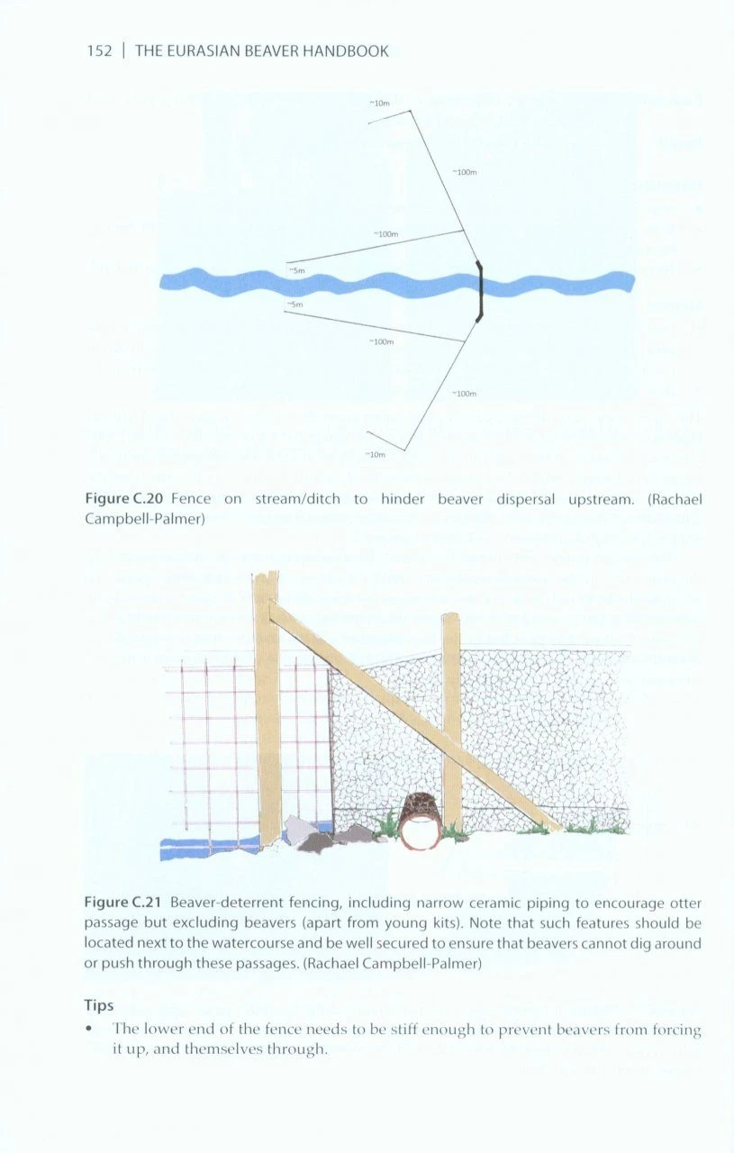 The Eurasian Beaver Handbook 5 The Eurasian Beaver Handbook - Image 5
