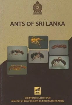 Ants Of Sri Lanka