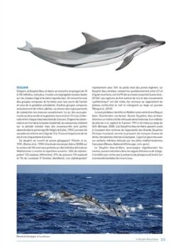 Les Mammifères De Provence-Alpes-Côte D'Azur [The Mammals Of Provence-Alpes-Côte D'Azur] -Rode Sales Store 229875 8