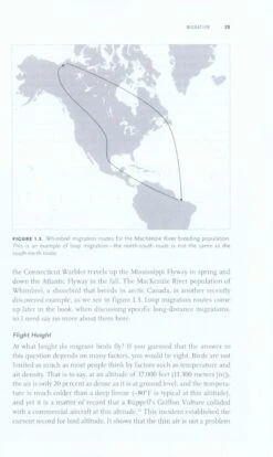 Long Hops 8 Long Hops -Rode Sales Store 230365 1