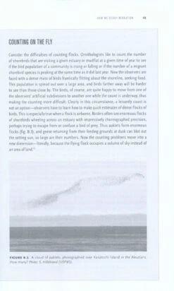 Long Hops 9 Long Hops -Rode Sales Store 230365 2