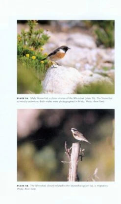 Long Hops 10 Long Hops -Rode Sales Store 230365 3