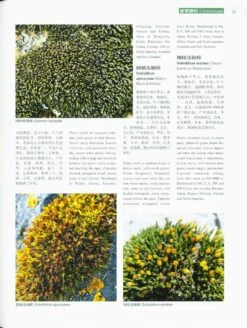 Higher Plants Of China In Colour, Volume 1: Bryophytes [English / Chinese] -Rode Sales Store 230934 3