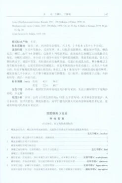 Fauna Sinica Invertebrata, Volume 55: Mollusca, Gastropoda, Conidae [Chinese] -Rode Sales Store 230960 3