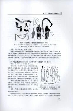 Coccinellidae Of The Qinghai-Xizang Plateau [Chinese] -Rode Sales Store 231597 2