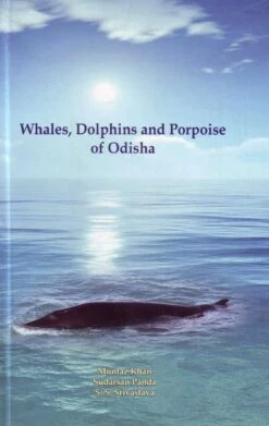 Whales, Dolphins And Porpoise Of Odisha