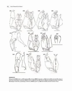 Insects Of Mount Wilhelm -Rode Sales Store 233076 13