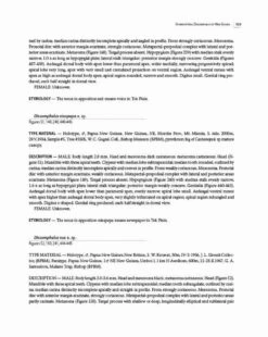 Insects Of Mount Wilhelm -Rode Sales Store 233076 14