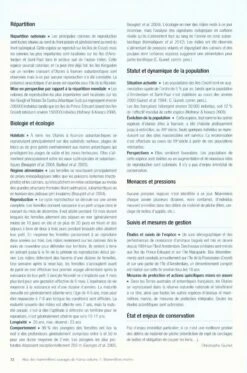 Atlas Des Mammifères Sauvages De France, Volume 1: Mammifères Marins [Atlas Of Wild Mammals Of France, Volume 1: Marine Mammals] -Rode Sales Store 233077 3