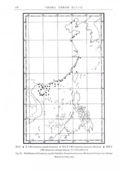 Fauna Sinica Invertebrata, Volume 56: Mollusca, Gastropoda, Strombacea & Naticacea [Chinese] -Rode Sales Store 233388 2