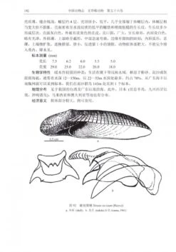 Fauna Sinica Invertebrata, Volume 56: Mollusca, Gastropoda, Strombacea & Naticacea [Chinese] -Rode Sales Store 233388 3
