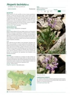 Atlas De La Flore Patrimoniale De L'Aude [Atlas Of The Patrimonial Flora Of Aude] -Rode Sales Store 233938 6