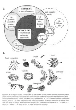 Cephalopod Behaviour 10 Cephalopod Behaviour -Rode Sales Store 234830 2