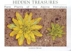 Hidden Treasures