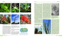 Plants Of The World -Rode Sales Store 235467 4