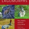 Lagomorphs