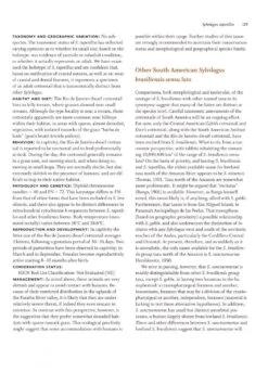 Lagomorphs 9 Lagomorphs -Rode Sales Store 235471 4