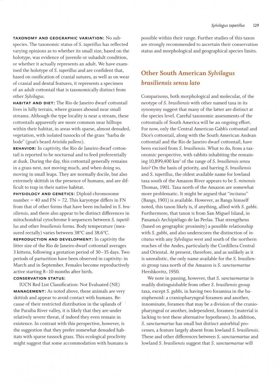 Lagomorphs 5 Lagomorphs - Image 5