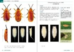 The Chrysomelidae Of Taiwan, Volume 3 [Chinese] -Rode Sales Store 236137 2