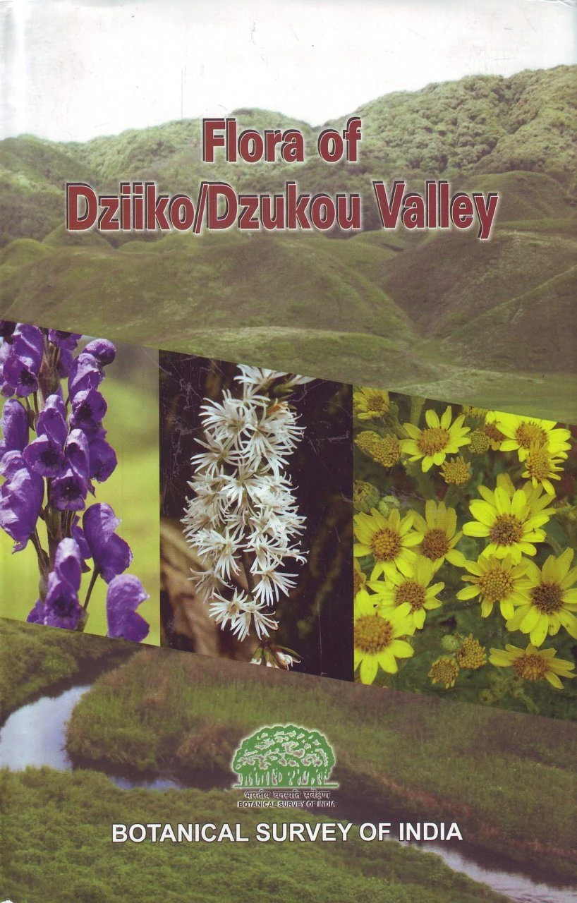 Flora Of Dziiko/Dzukou Valley 1 Flora Of Dziiko/Dzukou Valley
