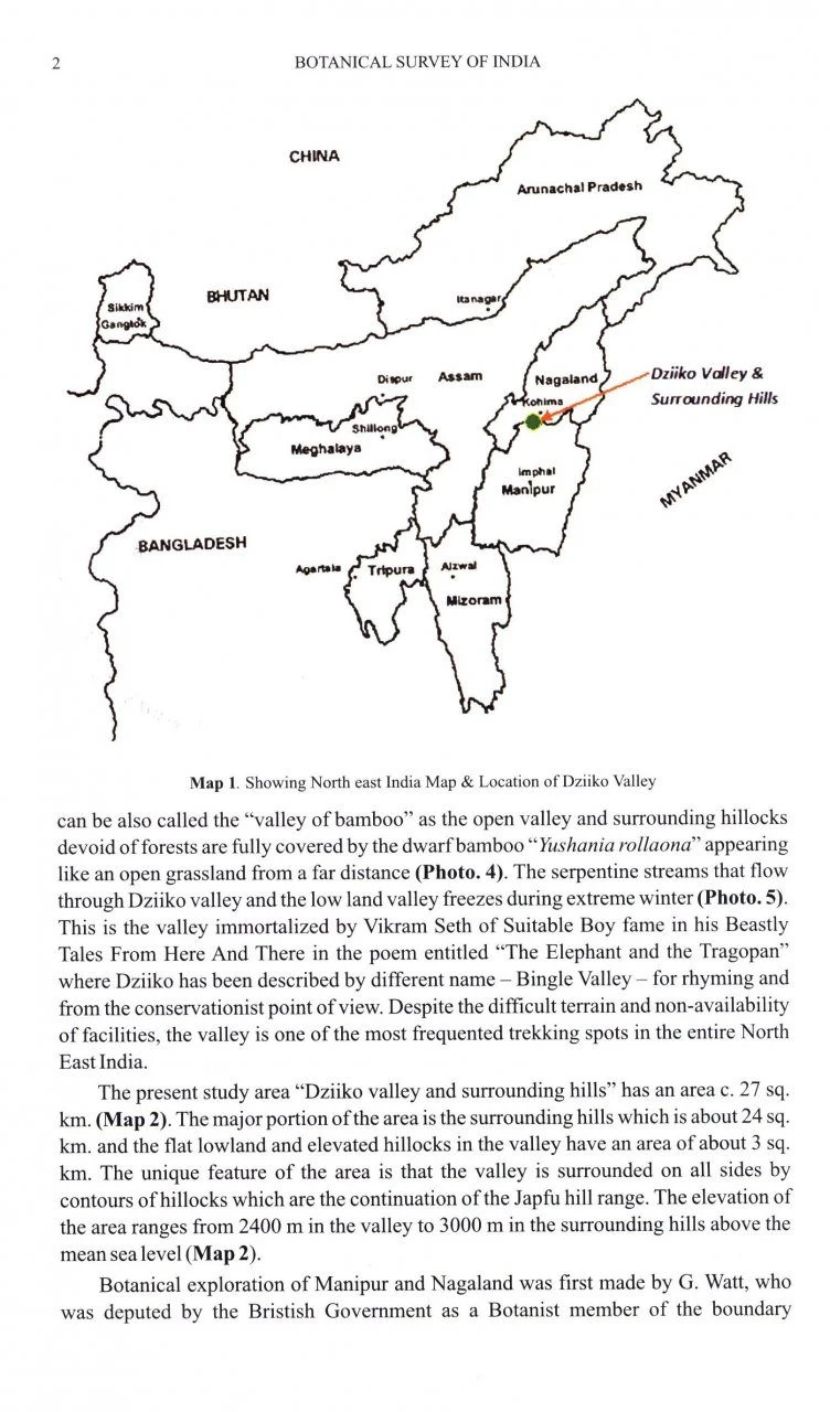 Flora Of Dziiko/Dzukou Valley 2 Flora Of Dziiko/Dzukou Valley - Image 2