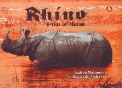 Rhino