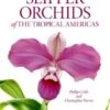 Slipper Orchids Of The Tropical Americas