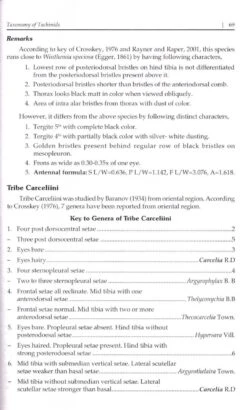 Indian Tachinid Flies -Rode Sales Store 237462 2