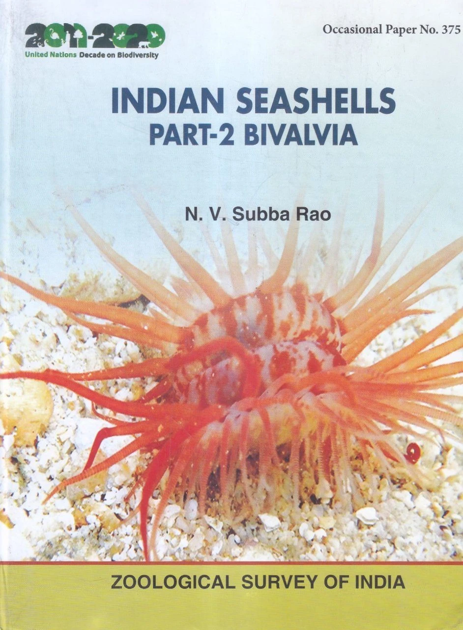 Indian Seashells, Part 2: Bivalvia 1 Indian Seashells, Part 2: Bivalvia