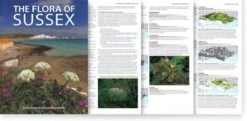 The Flora Of Sussex