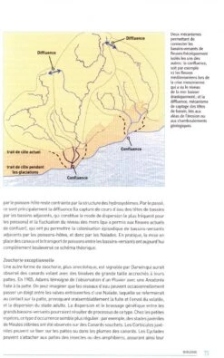 Naïades Et Autres Bivalves D'Eau Douce De France [Naiades And Other Freshwater Bivalves Of France] -Rode Sales Store 239318 2