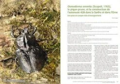 Les Invertébrés Dans La Conservation Et La Gestion Des Espaces Naturels: Actes Du Colloque De Toulouse Du 13 Au 16 Mai 2015 7 Les Invertébrés Dans La Conservation Et La Gestion Des Espaces Naturels: Actes Du Colloque De Toulouse Du 13 Au 16 Mai 2015 -Rode Sales Store 239431 2