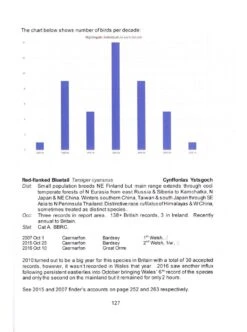 Scarce And Rare Birds In North Wales -Rode Sales Store 241415 2