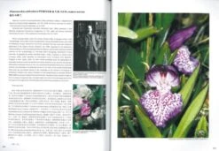 Orchids Of Huanglong [English / Chinese] -Rode Sales Store 241898 4