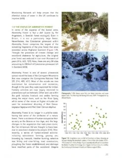 Abernethy Forest -Rode Sales Store 242040 02