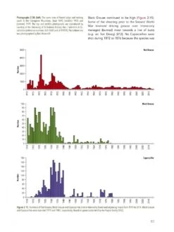 Abernethy Forest -Rode Sales Store 242040 06