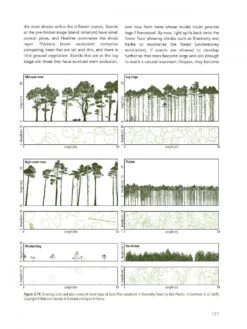 Abernethy Forest -Rode Sales Store 242040 07